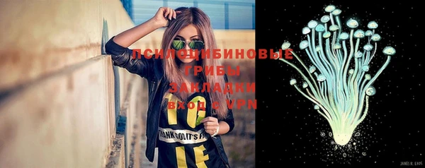 бошки Алексин