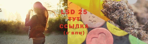 индика Покров