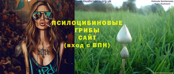 бошки Алексин