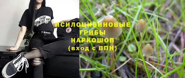 гидропоника Покачи