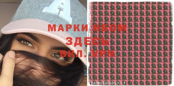 бошки Алексин